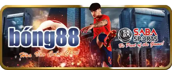 Hướng dẫn cá cược bóng đá chuyên sâu
